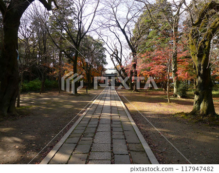 東禪寺(千葉縣松戶市) 東禪寺(千葉縣松戶市) 117947482