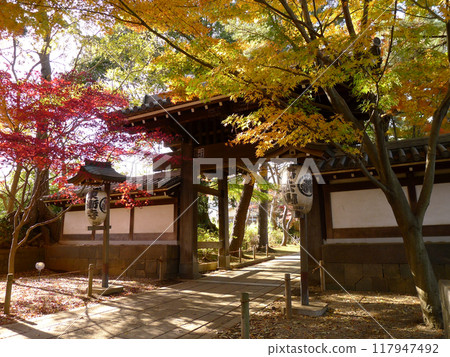 Tozenji Temple (Matsudo City, Chiba Prefecture) Tozenji Temple (Matsudo City, Chiba Prefecture) 117947492