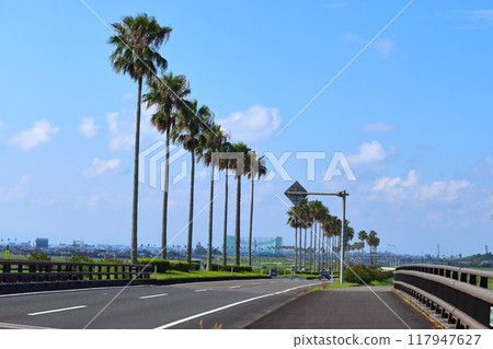 棕櫚樹成蔭的熱帶國道220號繞道（宮崎縣宮崎市） 117947627