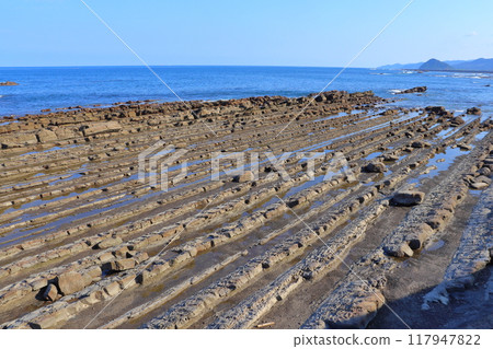 Devil's Washing Board (Devil's Washing Rock) in Nichinan Coast National Park 117947822