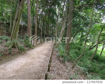 根內城跡（千葉縣松戶市） 117947830