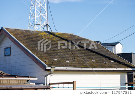 Mossy roof of a detached house 117947851