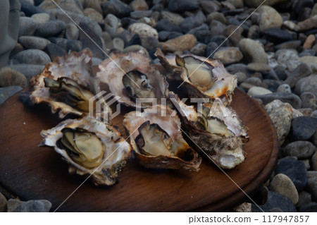 Watari oyster Watari oyster 117947857