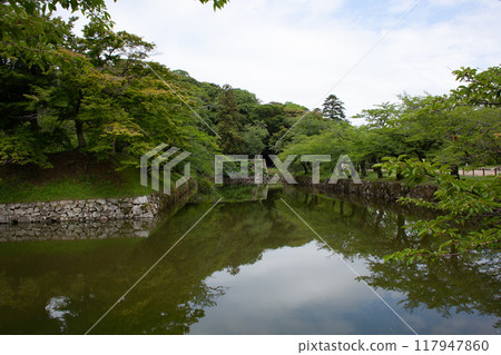 Hikone castle Hikone castle 117947860