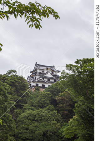 Hikone castle 117947862