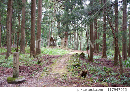 Fukui Prefecture, Wakamiya Shrine near Heisenji Hakusan Shrine 117947953