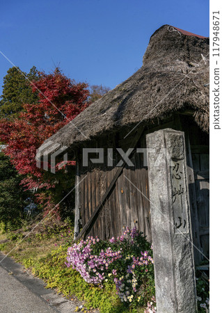 Oshinomura, a thatched hut with wild chrysanthemums blooming under its eaves Oshinomura, a thatched hut with wild chrysanthemums blooming under its eaves 117948671