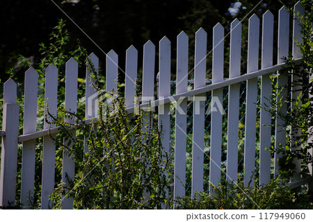 Fence on a slope number two Fence on a slope number two 117949060