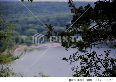 Lake Background with pine in the foreground Lake Background with pine in the foreground 117949068