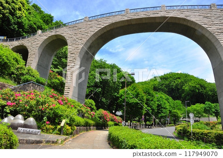 Kanagawa Prefectural Nanasawa Forest Park Settled forest and fresh green 117949070
