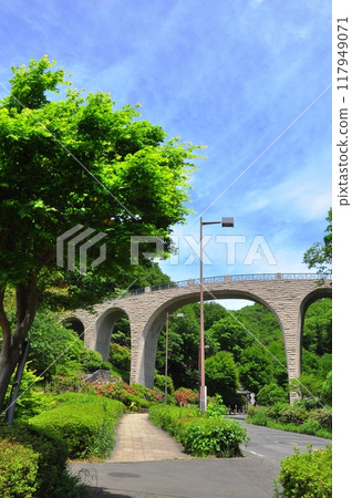 Kanagawa Prefectural Nanasawa Forest Park Settled forest and fresh green Kanagawa Prefectural Nanasawa Forest Park Settled forest and fresh green 117949071