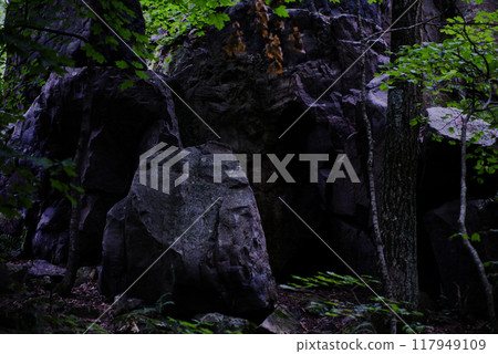 Stone rock face with trees around 117949109