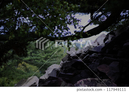 Pine tree shadow over rocks Pine tree shadow over rocks 117949111
