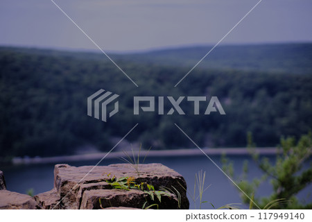 Stone with flower overlooking lake Stone with flower overlooking lake 117949140