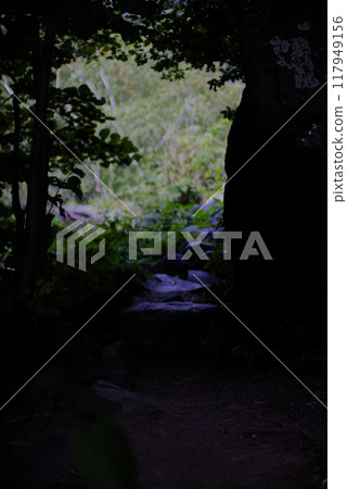 Stone path through a dark forest 117949156