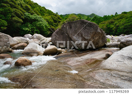 橫河谷的巨大岩石 117949269