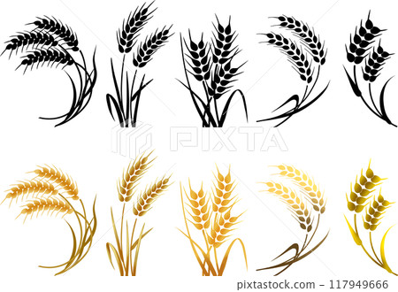 Simple wheat icon 2 color icon mark symbol 117949666