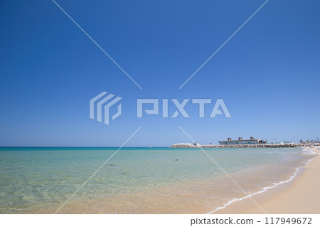 藍天和藍色的大海 117949672