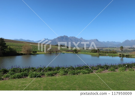 ASARA Winery in South African Winelands 117950009