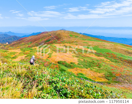 Climbing Mount Yakeishi in autumn (mountain summit): View towards Mount Higashi-Yakeishi Climbing Mount Yakeishi in autumn (mountain summit): View towards Mount Higashi-Yakeishi 117950114