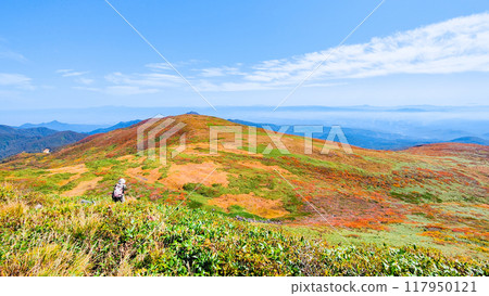 Climbing Mount Yakeishi in autumn (mountain summit): View towards Mount Higashi-Yakeishi Climbing Mount Yakeishi in autumn (mountain summit): View towards Mount Higashi-Yakeishi 117950121