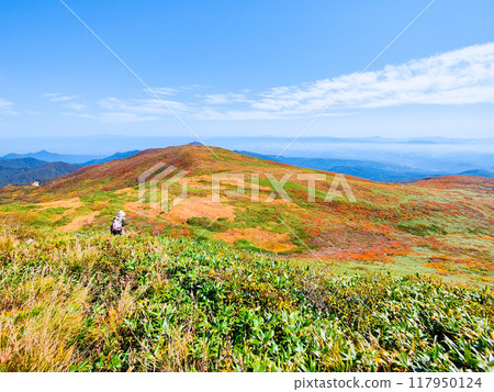 Climbing Mount Yakeishi in autumn (mountain summit): View towards Mount Higashi-Yakeishi Climbing Mount Yakeishi in autumn (mountain summit): View towards Mount Higashi-Yakeishi 117950124