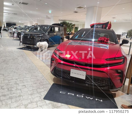 汽車展廳 汽車展廳 117950275