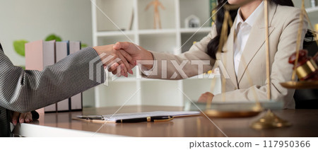Professional handshake between diverse lawyers sealing agreement 117950366