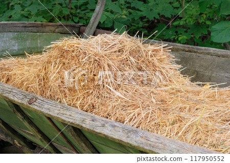 Hay in an old cart. Pile of golden yellow hay. Countryside bales of hay on old wagon. Hay in an old cart. Pile of golden yellow hay. Countryside bales of hay on old wagon. 117950552