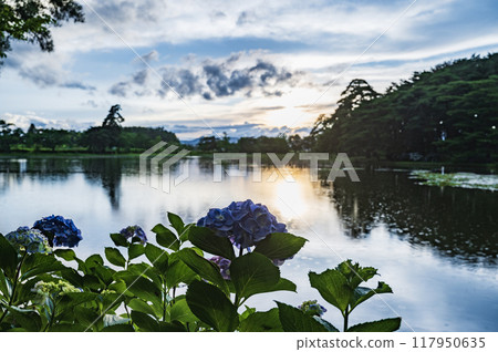 黃昏的福島禦池公園(矢吹町) 黃昏的福島禦池公園(矢吹町) 117950635