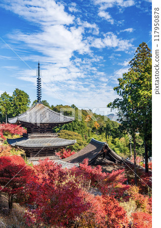 Konan Sanzan Jorakuji Autumn Leaves 117950878