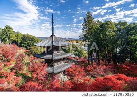 Konan Sanzan Jorakuji Autumn Leaves 117950880