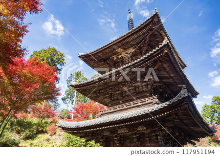 Konan Sanzan Jorakuji秋葉 117951194