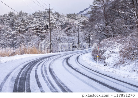 蒜山高原雪路 117951270