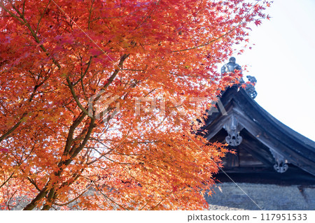 Konan Sanzan: Main Hall of Zensui-ji Temple 117951533