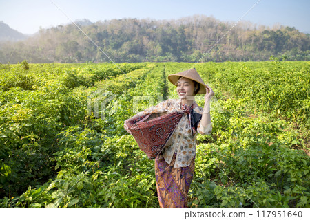 An Indonesian farmer girl wearing a straw hat and a colorful skirt is standing in a field of chili plants An Indonesian farmer girl wearing a straw hat and a colorful skirt is standing in a field of chili plants 117951640