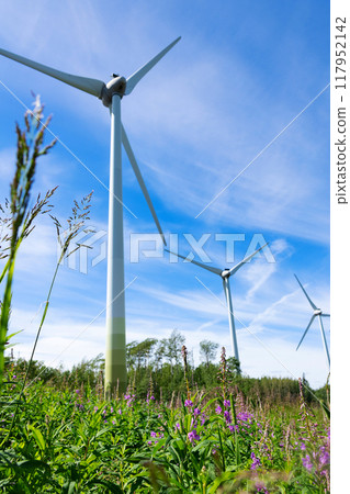 Windmills making green energy on the hill with blooming fireweed. Windmills making green energy on the hill with blooming fireweed. 117952142