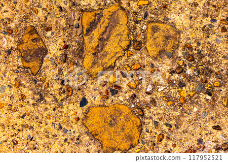 Daigo Stone, Kyoto 117952521