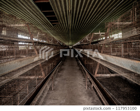 The empty laying cages of poultry houses, old, decayed, abandoned The empty laying cages of poultry houses, old, decayed, abandoned 117953100