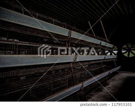 The empty laying cages of poultry houses, old, decayed, abandoned The empty laying cages of poultry houses, old, decayed, abandoned 117953101