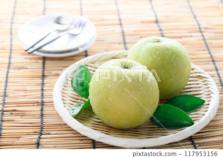 秋味二十精梨 117953156