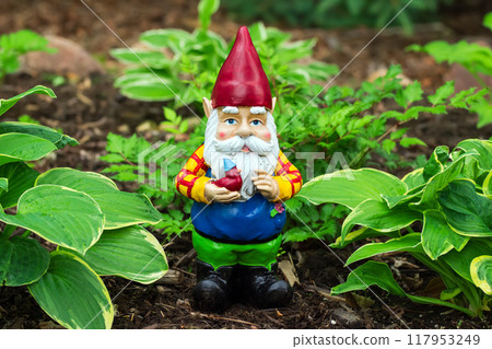 Ceramic figurine of a gnome in a red hat holding a little bird, standing among hostas in a shade garden. Ceramic figurine of a gnome in a red hat holding a little bird, standing among hostas in a shade garden. 117953249