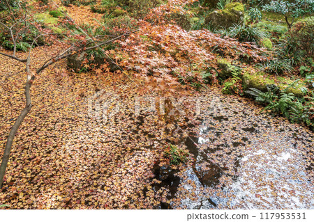 Autumn leaves at Sanzen-in Temple's Shuhekien Garden 117953531