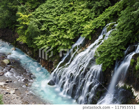 Shiraito Falls Shiraito Falls 117953551