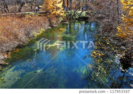 深秋的戰場原自然考察路線(戰場原展望台附近)【栃木縣日光市】 深秋的戰場原自然考察路線(戰場原展望台附近)【栃木縣日光市】 117953587