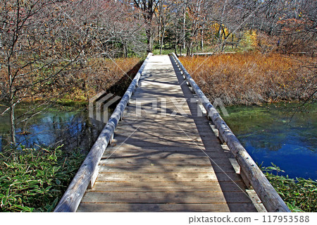 深秋的戰場原自然考察路線（戰場原展望台附近）【栃木縣日光市】 117953588