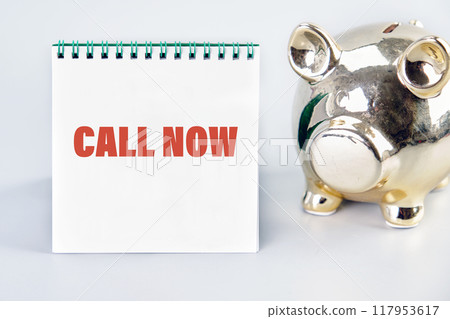 Conceptual call now symbol. Copy space. Call now message written on a notebook in front of a gray background near the piggy bank Conceptual call now symbol. Copy space. Call now message written on a notebook in front of a gray background near the piggy bank 117953617