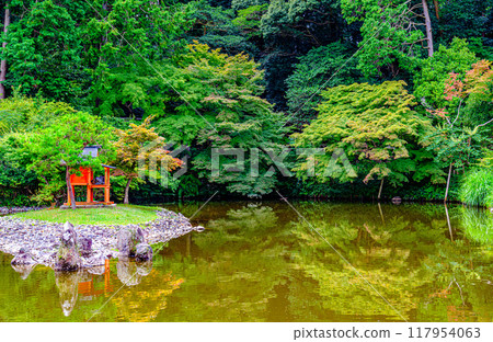 Benten Shrine at Joruriji Temple, Kyoto Benten Shrine at Joruriji Temple, Kyoto 117954063