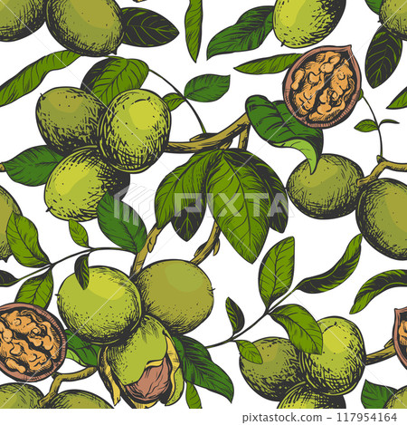 Seamless pattern with hand drawn walnuts. Branch with leaves and ripe nuts. Vector illustration in color engraving technique for nut paste, oil, liqueur Nocino. For packaging design. Ink sketch. 117954164