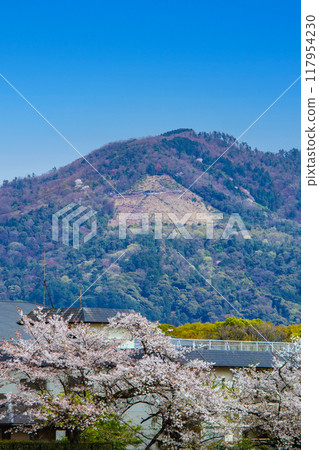[京都風景]從鴨川看到的櫻花和山脈（比叡山/大文字山） 117954230